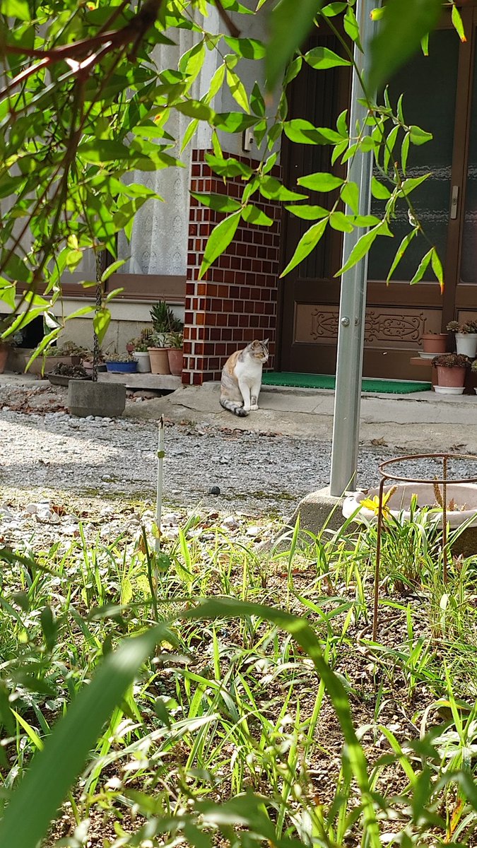 坂上田村麻呂 (@tamuramaro_758) / Posts / X