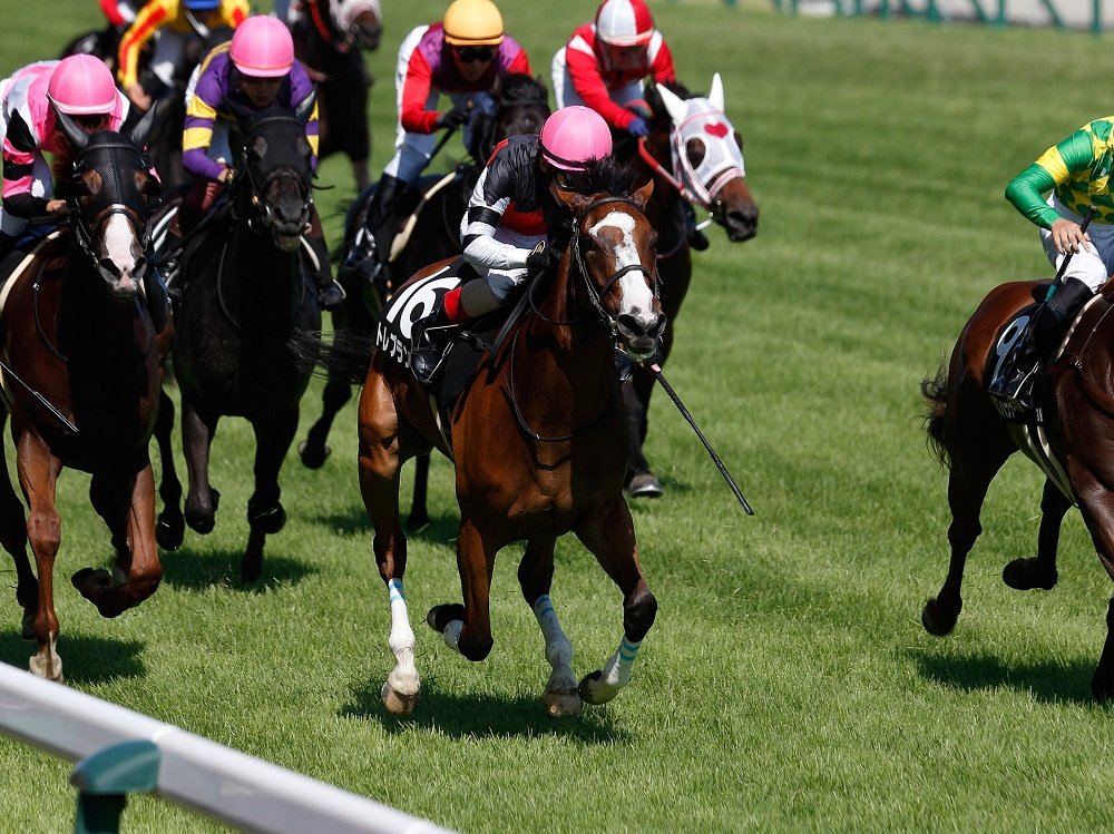 ミモザページになります＾＾ 特集 新製品 2025 | ミズタニシザーズ