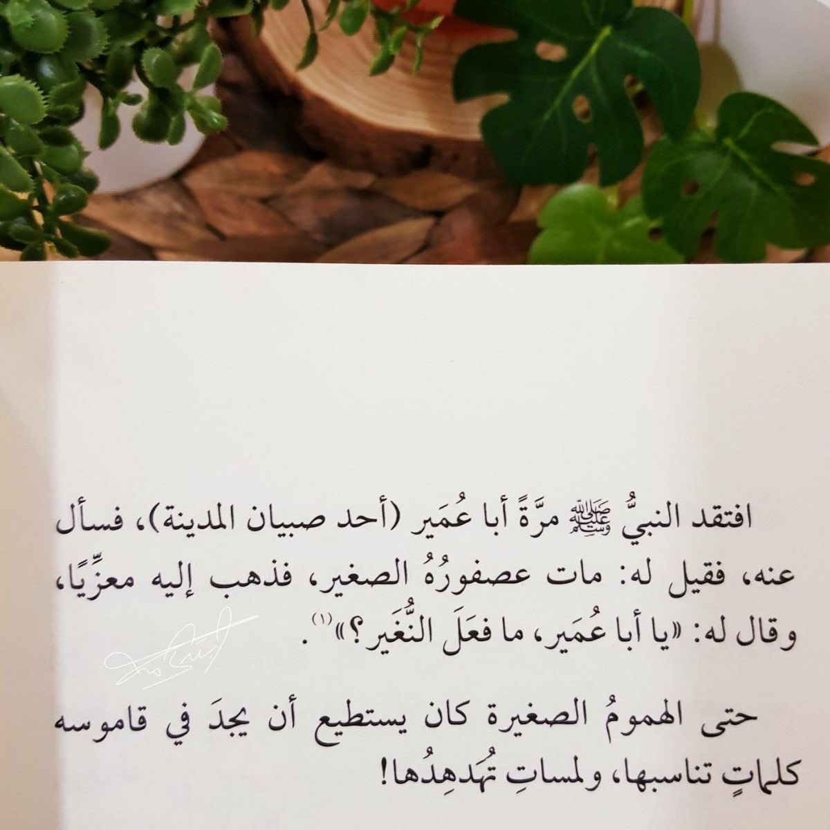 M0NA12345's tweet photo. #جمال سيرة أعظم بشر في العالم صلى الله عليه وسلم https://t.co/cMEju5aNI8
