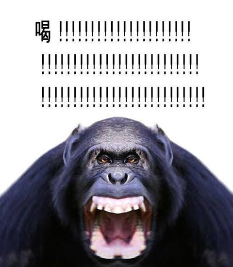 sterad0508's tweet photo. @PaulinLima0 크아악 지난번에 고수더니 이본엔 파인애플피자를!! https://t.co/j0ez3pZVlP