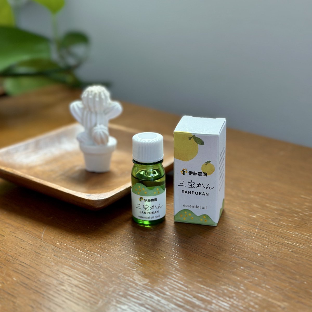 麦🐼 (@mugi6gimugi) / Posts / X