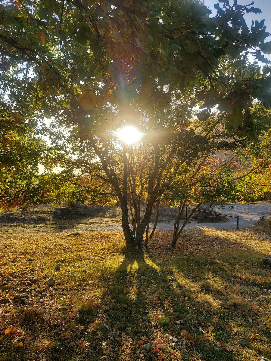 Maria Lea tweet media