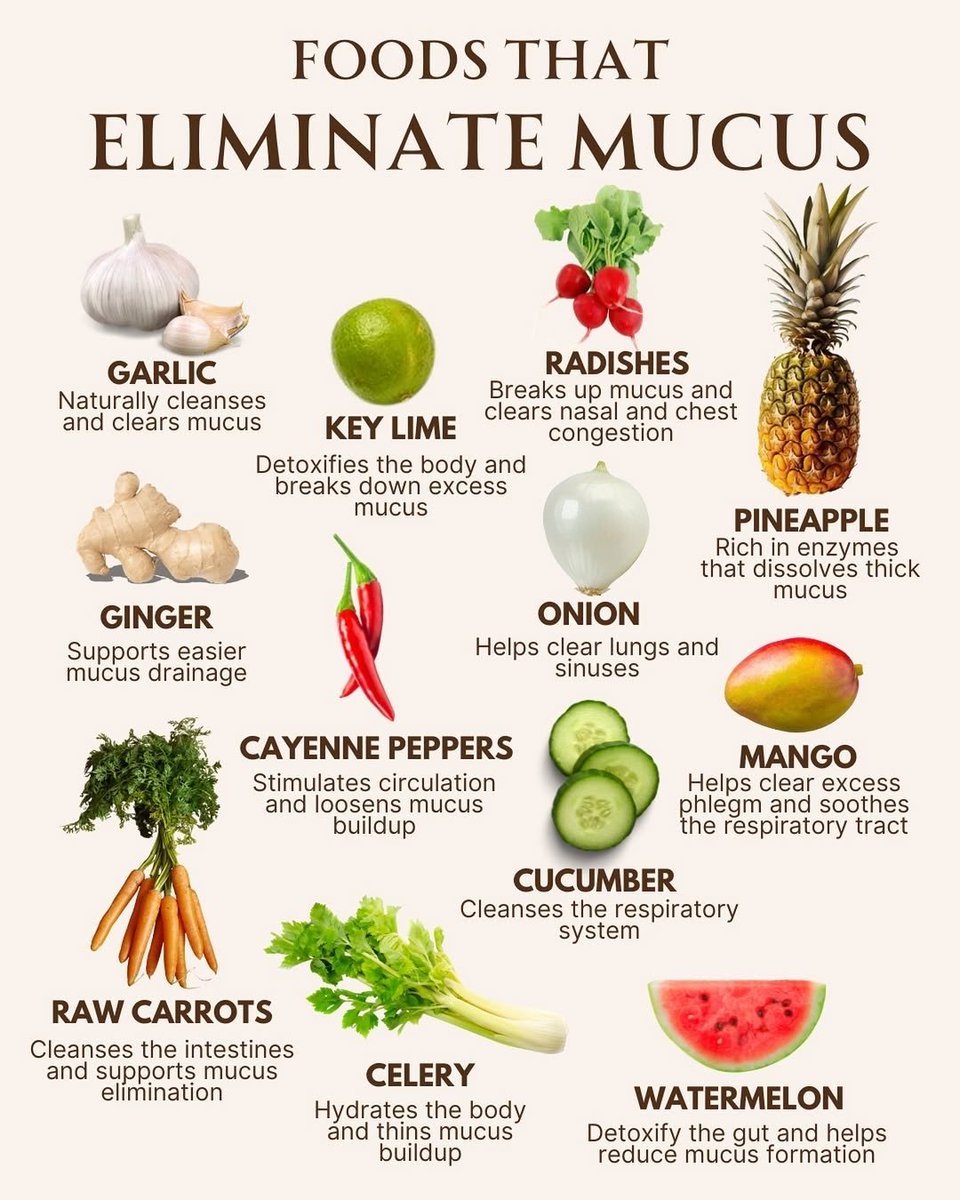 Clear your body the natural way 🌿

These foods help dissolve and flush out mucus so you can breathe easier and feel lighter. 🍍🥒🫚

From pineapple and ginger to cucumber and lime — each one supports cleansing, detox, and better breathing.

💚 Save this for your next grocery