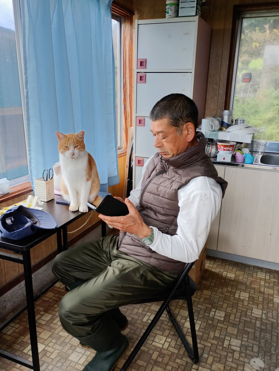 確認どうぞ♥西瓜の皮の色の斑入りです。 1_000000056877.jpg