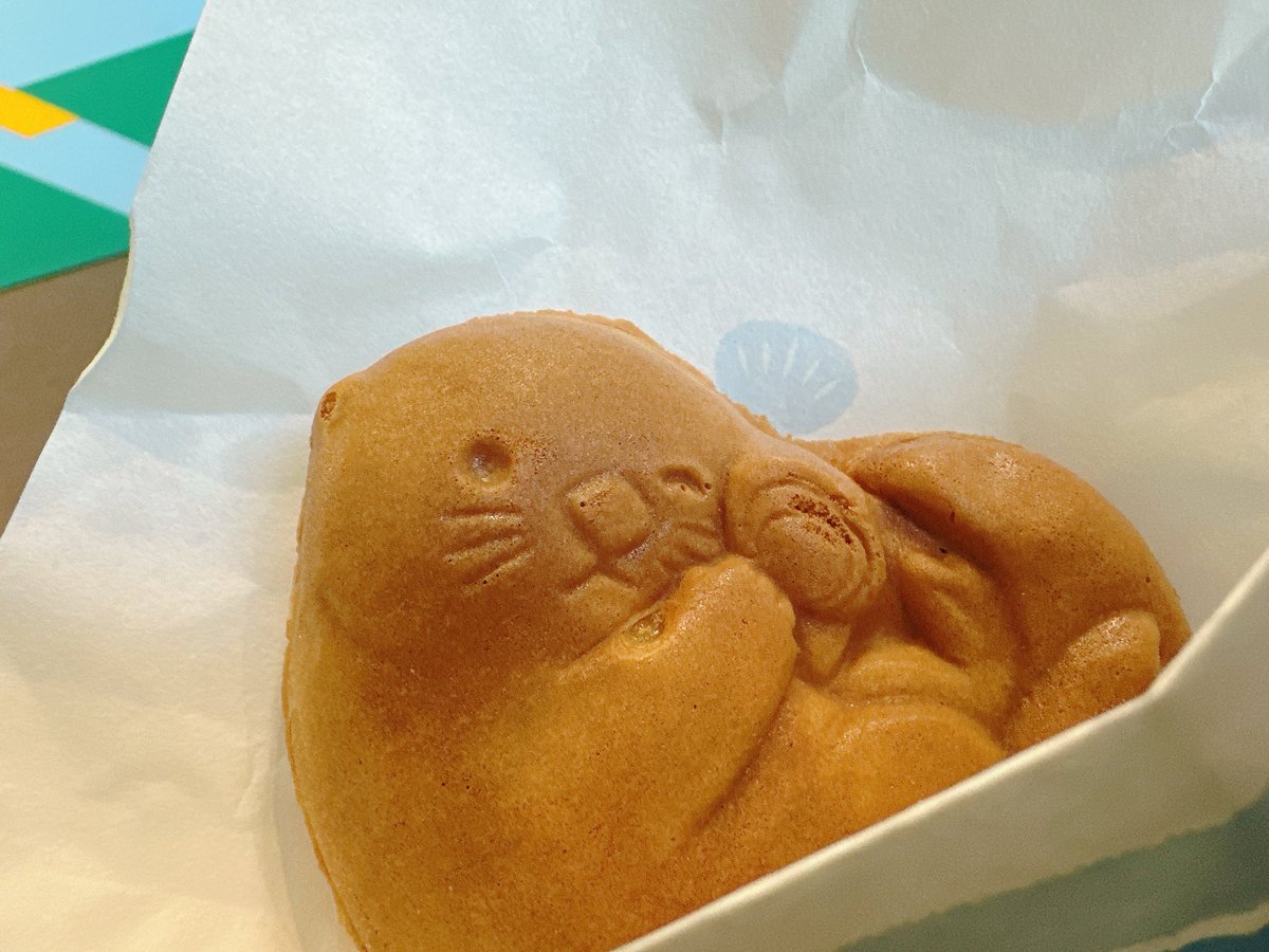 40年生きてきて初めての鳥羽水族館。10時から16時までいました。大阪から鳥羽ってめっっっちゃ遠いんだね。三重県は関西だと思っていました。北海道おばさん。地理むり。
#鳥羽水族館