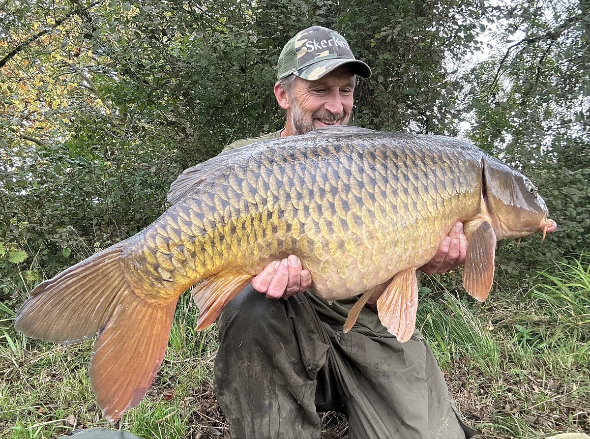 Autumn 🍂 gold
@ 39lb-12oz!!!!
Loving the river vibes in the Autumn 🍂💛🍂💛🍂💛
#bigladinfrance 
#bigcarpculture 
#lovelytimes
 #Skerkro