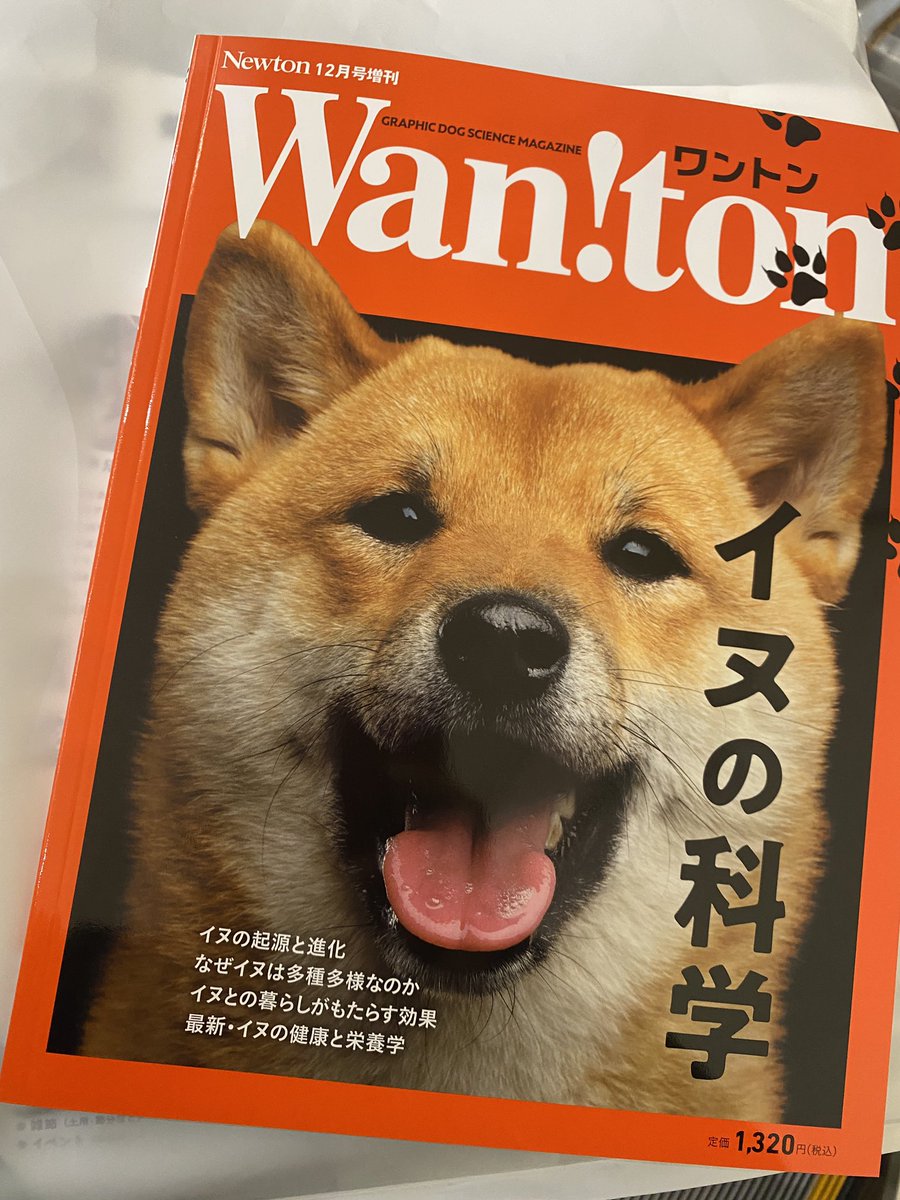 【よるまんじゅう】 ヨドバシ.com - ヤマゼン YAMAZEN 393-PXXP046 [ルームライト