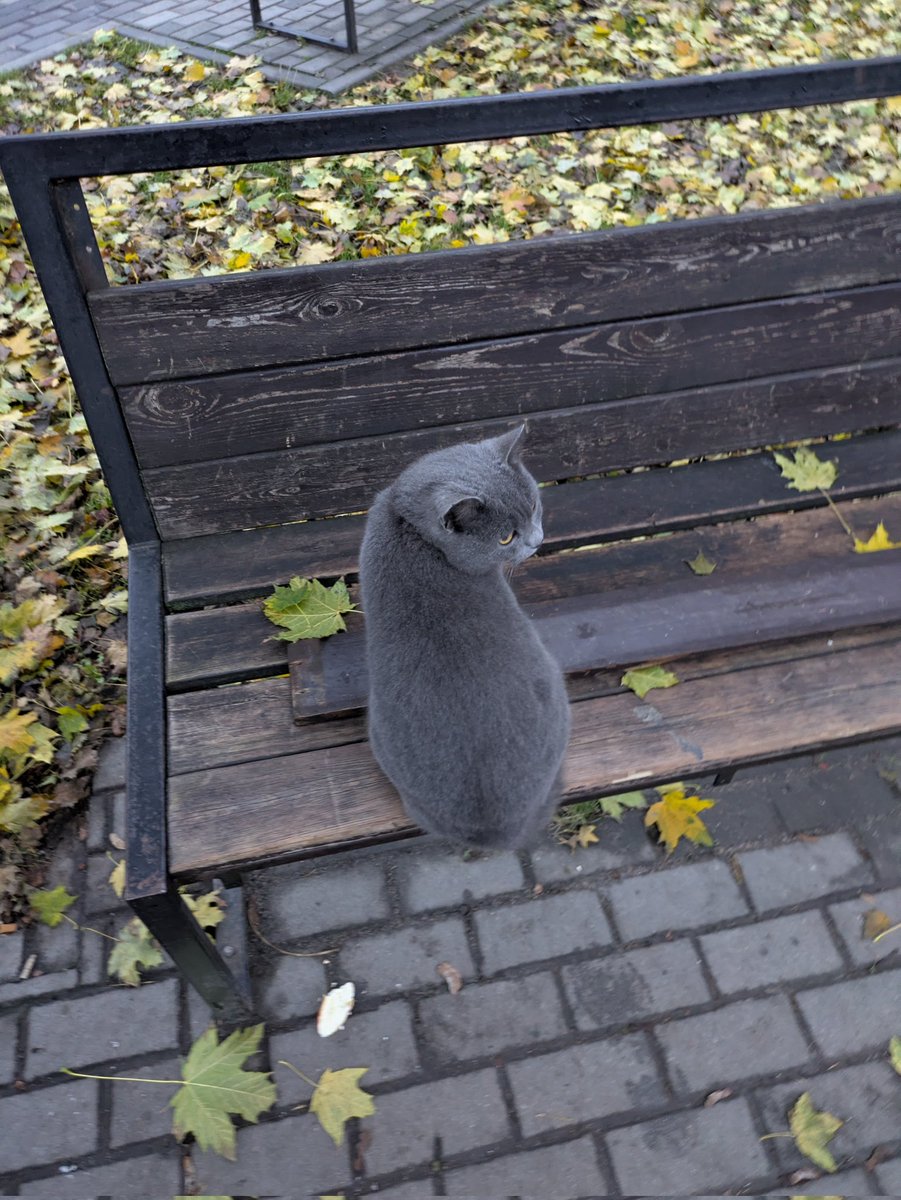 Листочки сіріють