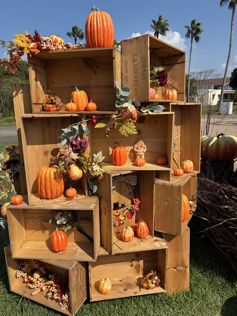 みどちゃんページ みどちゃん (@rebelrebel7) / Posts / X