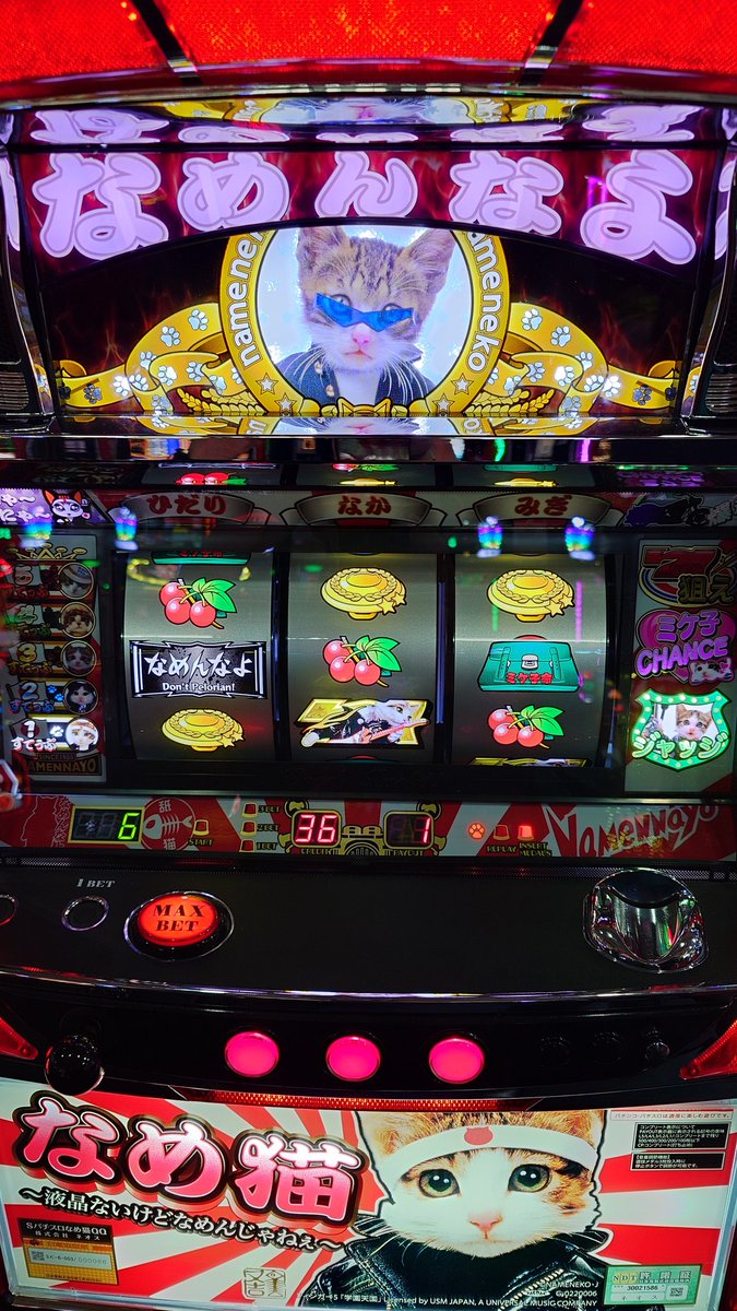 ❤️ アカネコさま❤️ やすー on X