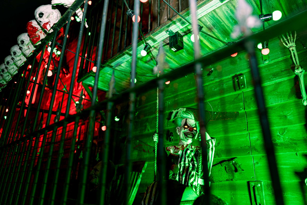 visit_leicester's tweet image. Saturday&apos;s Abbey Park firework display is going to be incredible. With a spooky Halloween theme, great live entertainment, live music and of course the bonfire and fireworks, make sure you get your tickets now!

ow.ly/OA4s50XifEA

 #AbbeyPark #FireworkDisplay #BonfireNight