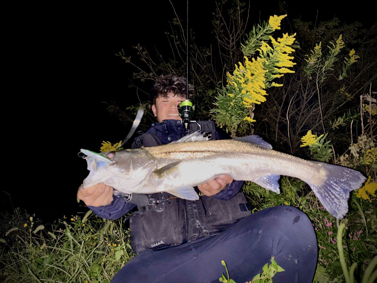 ほっけページ 青海ほっけ🐟💛でちゃう！ on X