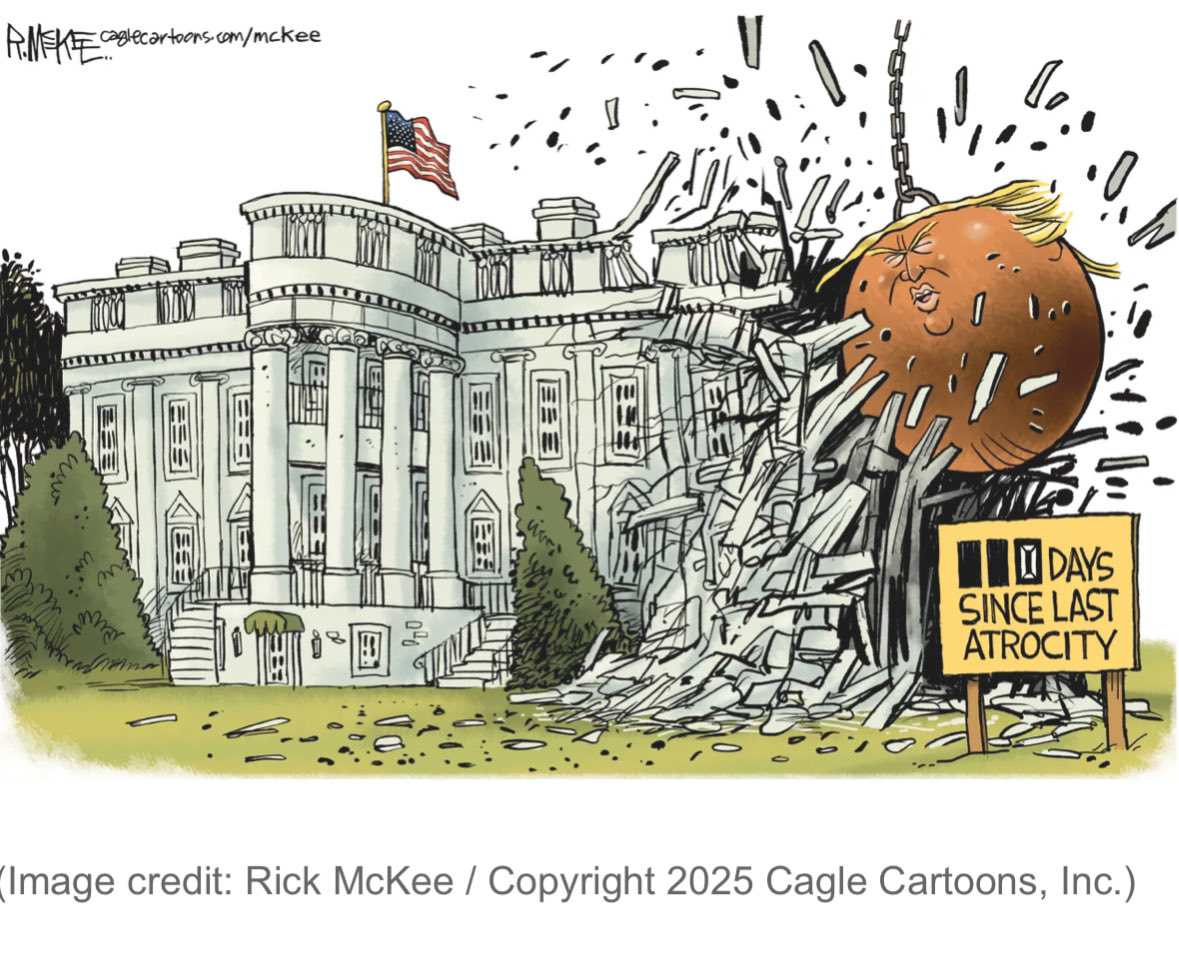 terrig103's tweet image. We will talk about the WORST president to ever exist ,in our history classes . How  he made more money in first few months of his 2nd term than he EVER made being a bad businessman. Lesson learned is become president and make Congress and SCOTUS your bitch. Grifters Gotta Grift.