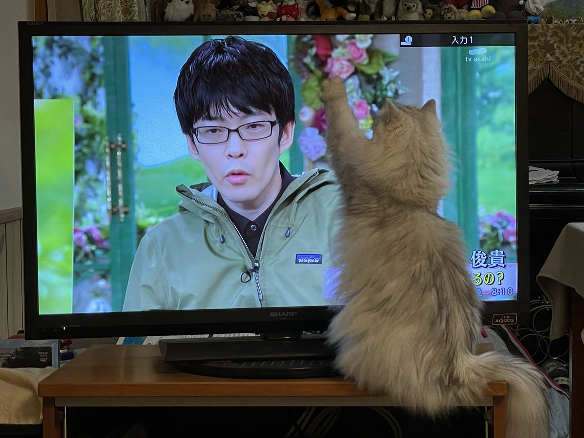 shoko様 しょこちゃん (@Yuko2626Kasen) / Posts / X