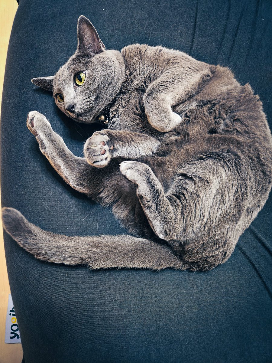 YUTAKAページ YUTAKA on X