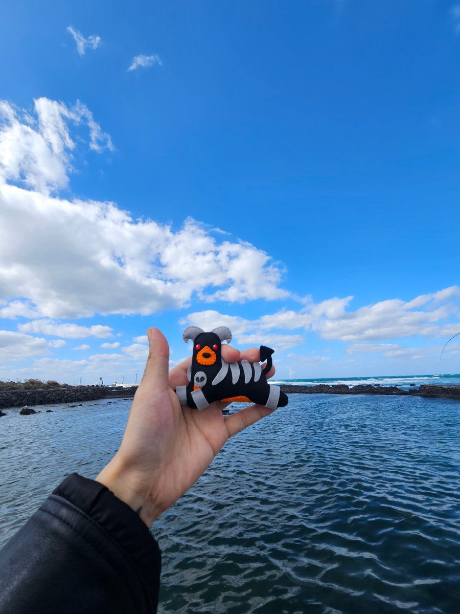 강풍에 날아갈위기를 겪은 우량헬가