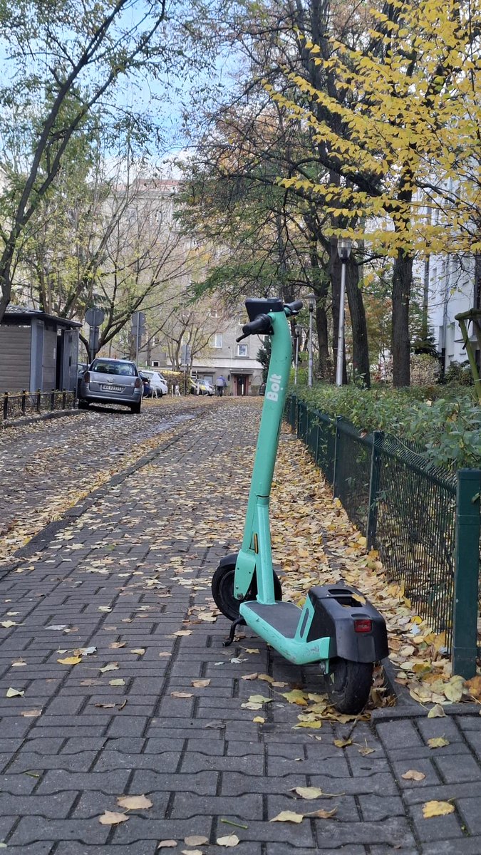 Krzysztof Strzałkowski tweet media