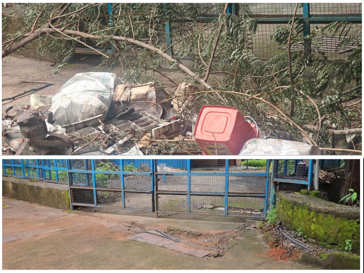 भारतीय खाद्य निगम, मण्डल कार्यालय, भोपाल एवं उसके अधिनस्थ गोदामो द्वारा special campaign 5.0 के अंतर्गत सार्वजनिक स्थानो पर सफाई का कार्य किया गया।
#specialcampaign5 #fci #swacchtahisewa