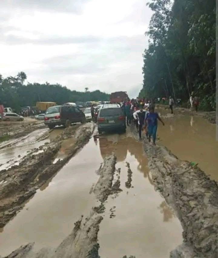 CharlesEmmy19's tweet image. The Primary responsibility of government