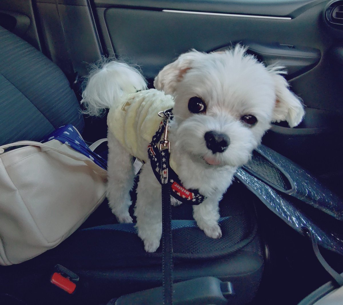 にこまる (@6yQgZFNMNk76215) / Posts / X