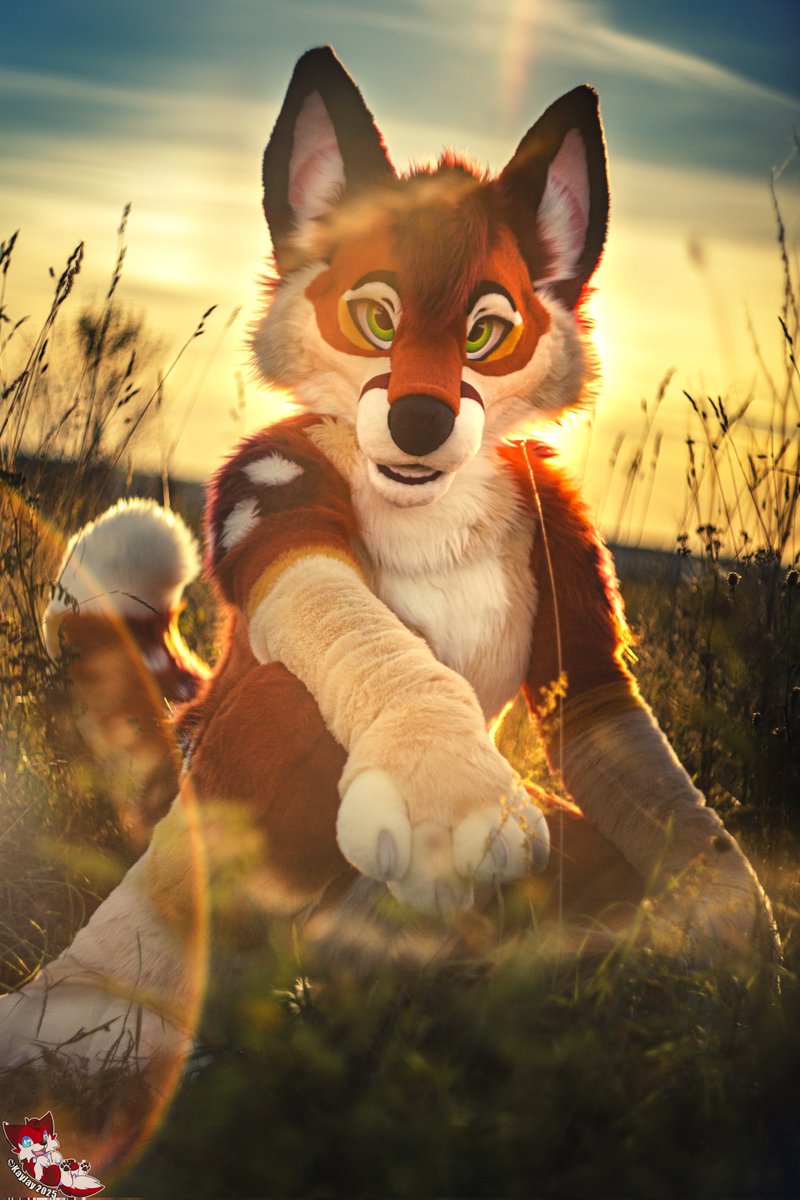 Already missing summer 💭☀️

📸: <a href="/KayJayFIN/">KayJay</a> 

#furry #fursuit #FursuitEveryday