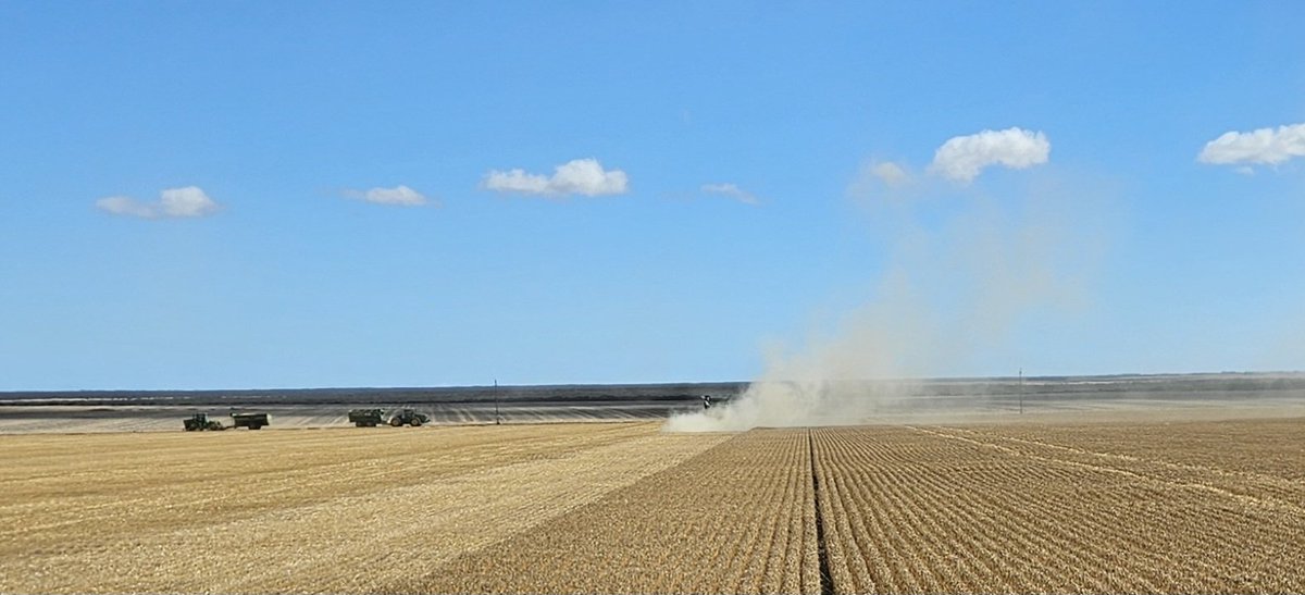 Paul Carmody tweet media