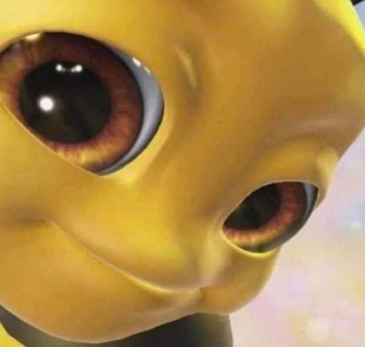 WhoIsFishie's tweet image. planning something 
#PrivacyIsFreedom #DataProtectionNow