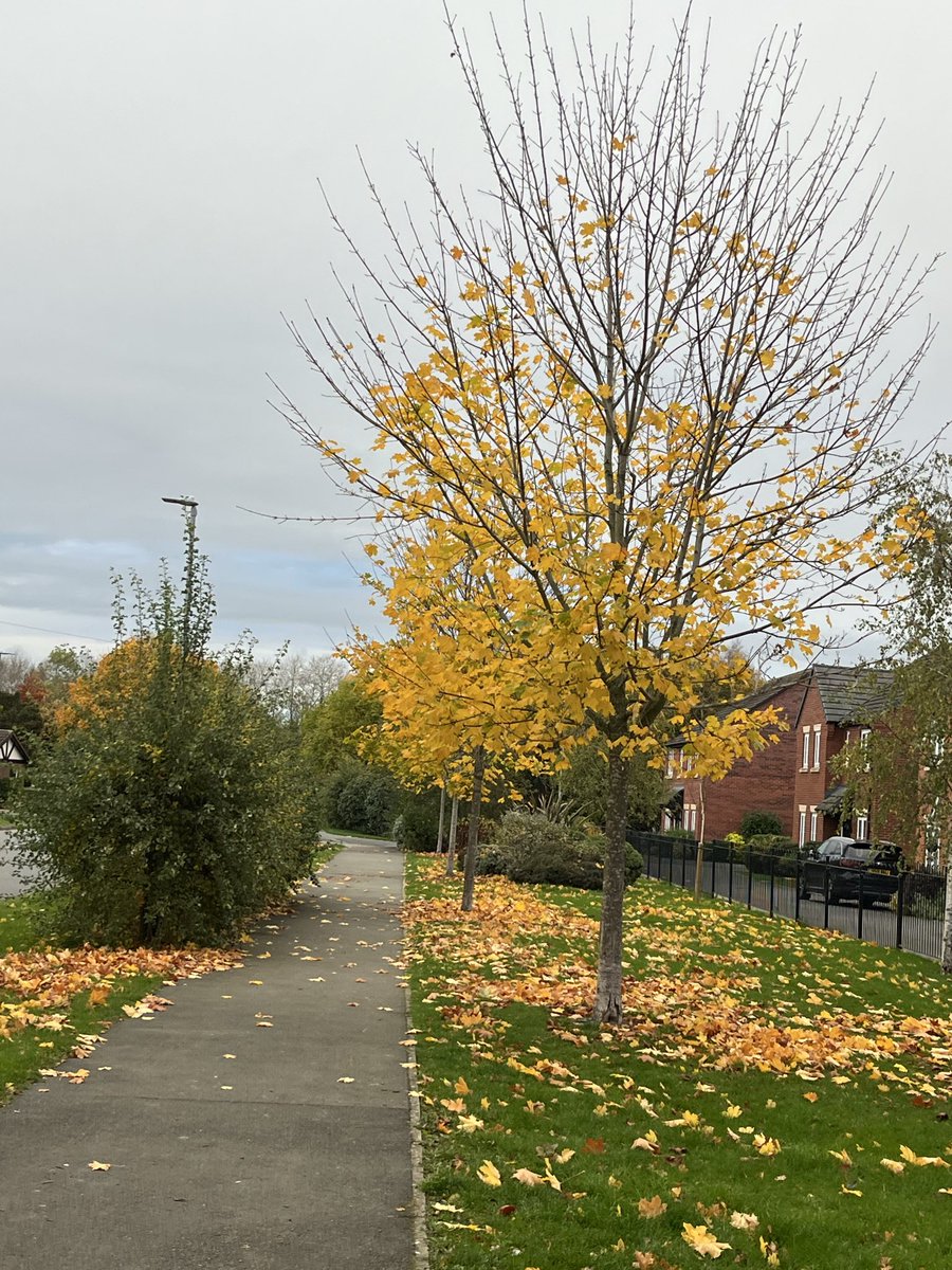 A Cheshire gap spoiler has spoilt the forecast this morning in Leicester as a small area of showers in width but considerable length has come in from Liverpool bay between the High ground of N Wales and the Pennines. Showers funnel through this gap with NW winds. Some places 2mm.