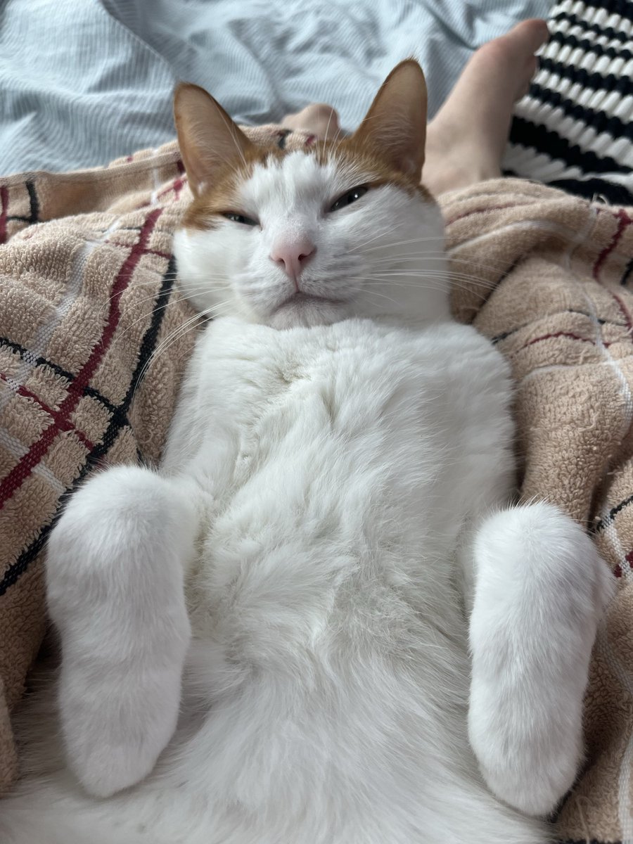 부리또 말았어요
부리또 풀어봤어요