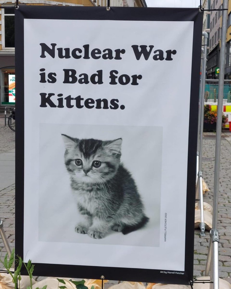 Punch Cat (@punchingcat) on Twitter photo 