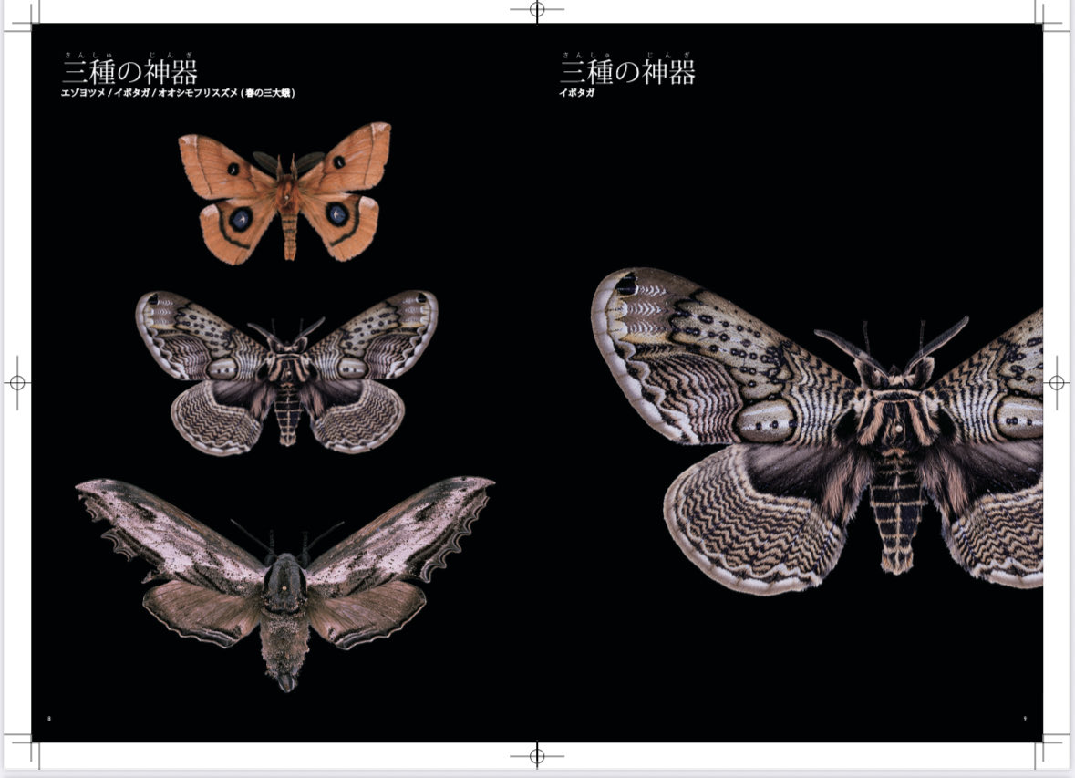 何気ないヒロポン@療養中 (@ponphilo) / Posts / X