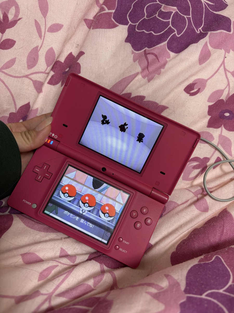 あーちん あーちん。 (@1134rna) / Posts / X