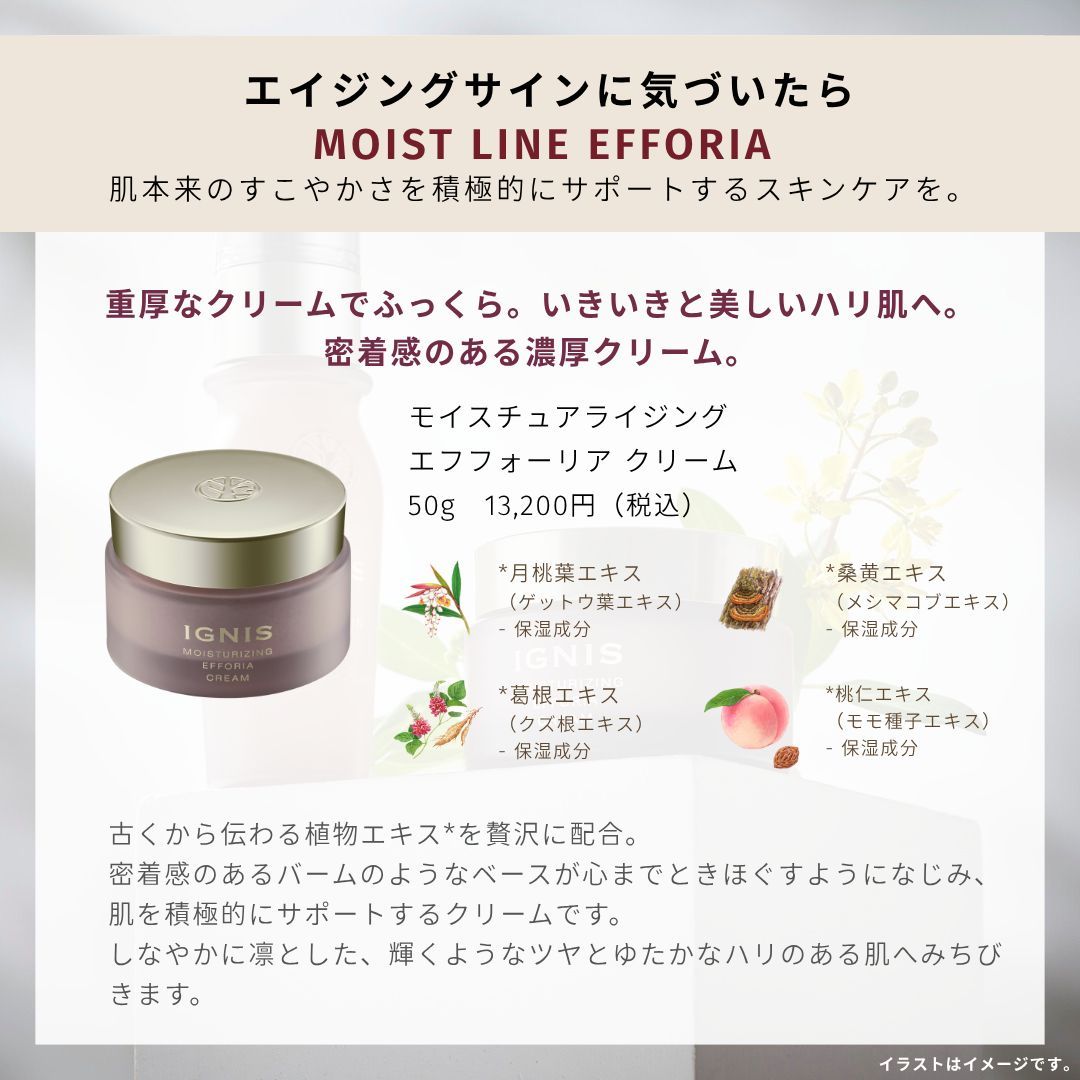 イグニス（IGNIS）公式 on X