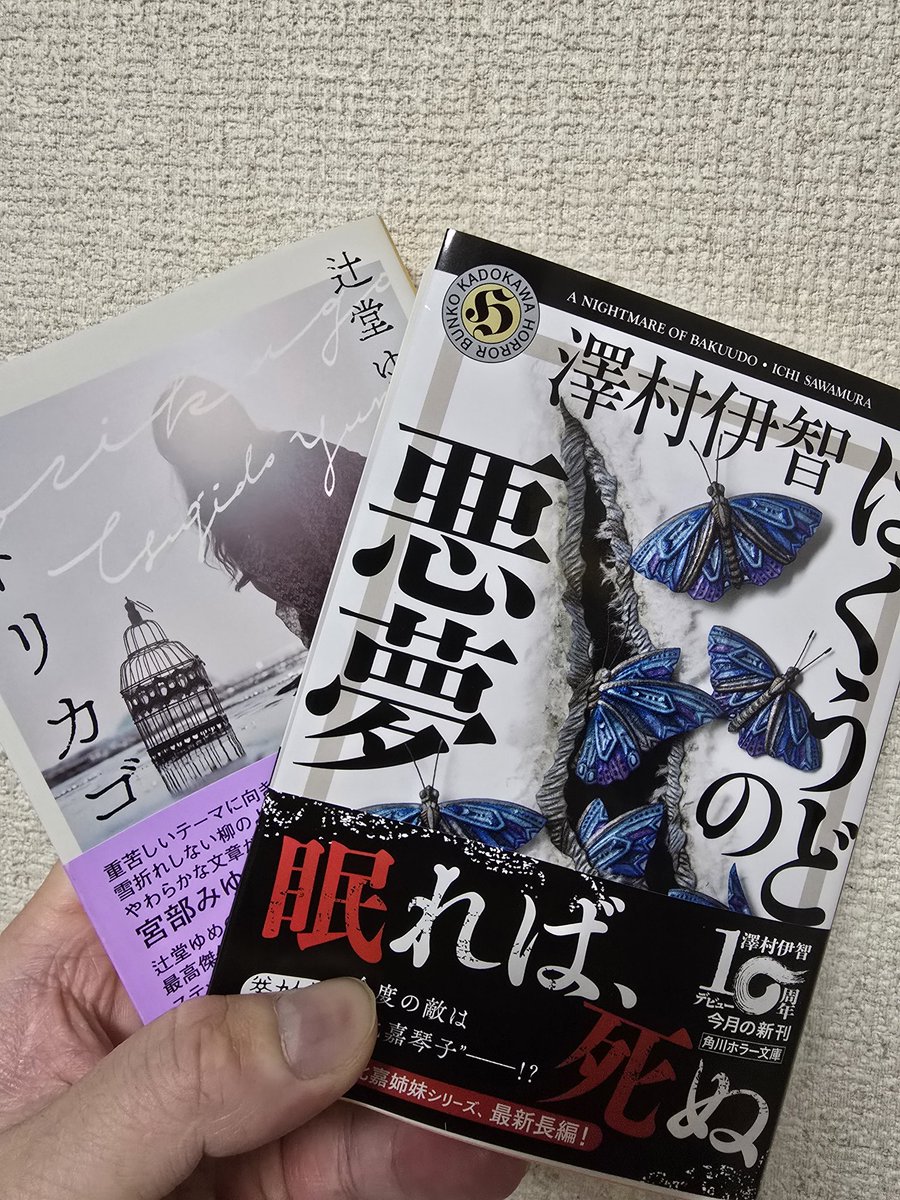 ケセラセラ☗ (@burn0921) / Posts / X