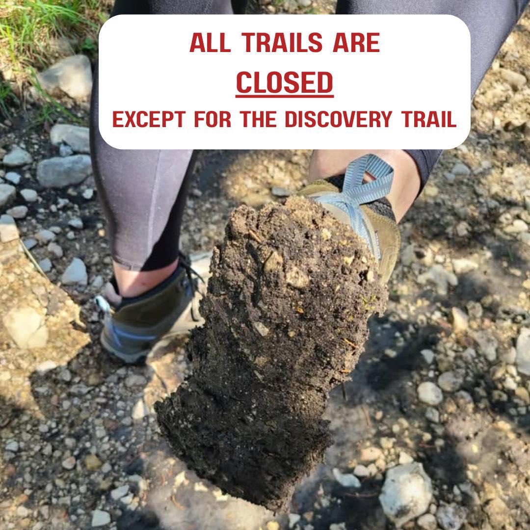 Government Canyon State Natural Area tweet media