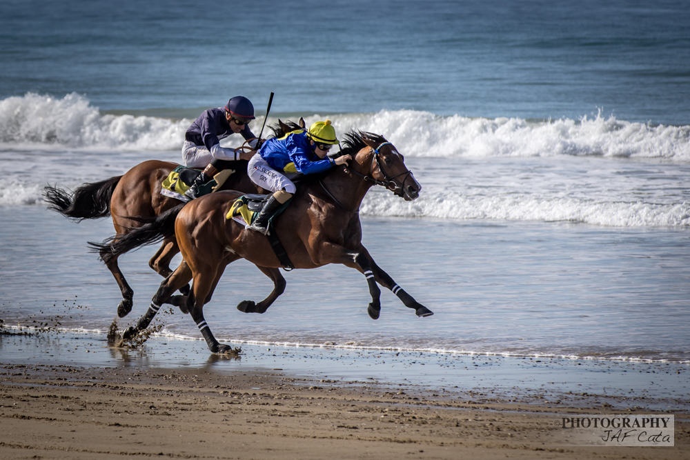 Todos los resultados d Gran Premio de Zahara 2025 - Petaca Chico:

equijar.com/index.php?rout…

Gracias a <a href="/equijar/">Equijar Jurídico Laboral</a>