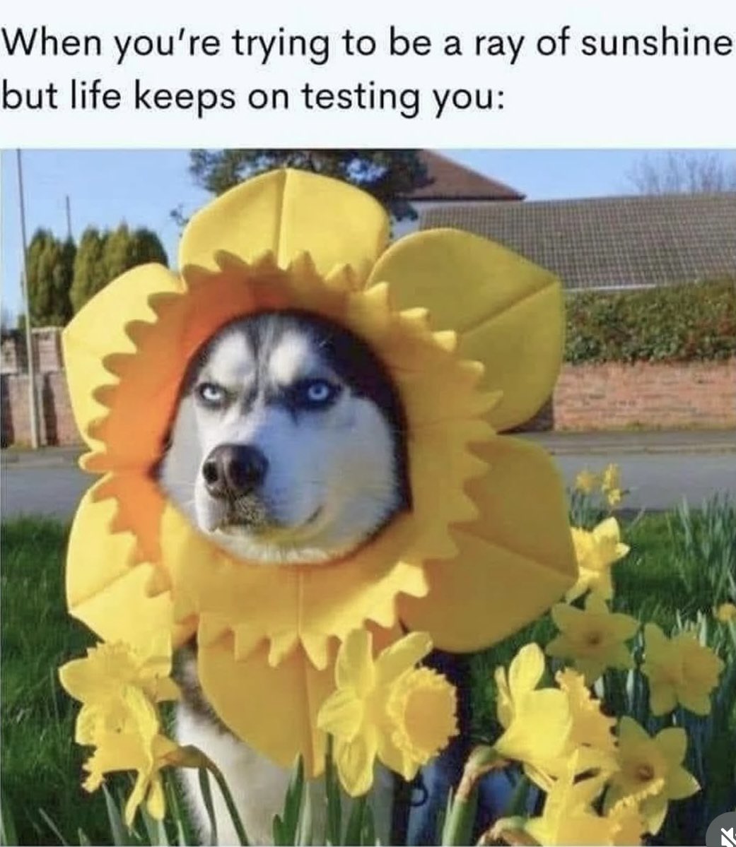 Gm. Or not. I’m not judging.