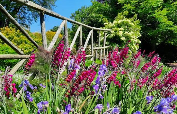 EventsRedCross's tweet image. 🌸 Open Gardens 2026 – Be Part of Something Beautiful! 🌸

Do you love your garden and want to make a difference? Join our Open Gardens 2026 campaign and help raise vital funds for the British Red Cross by opening your garden to visitors.

Whether it’s a peaceful retreat or a…
