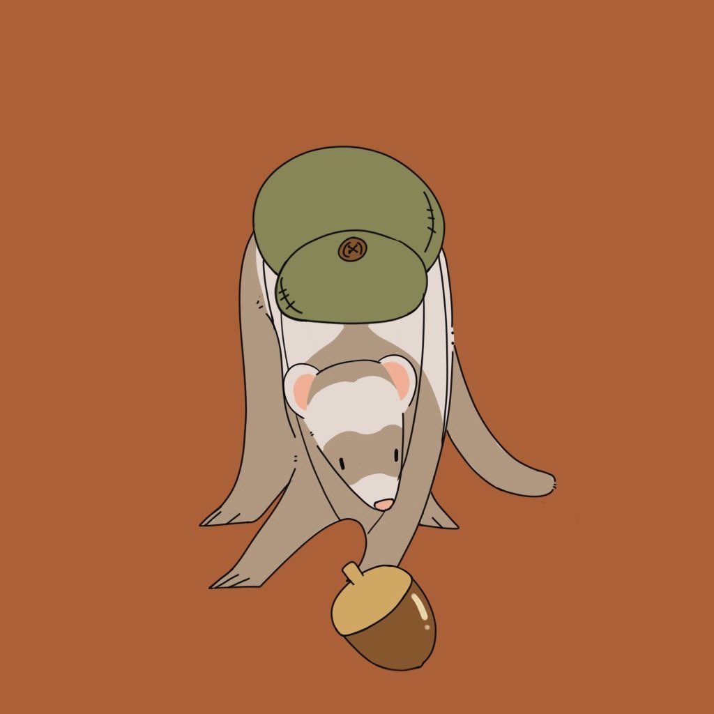 秋 #フェレット