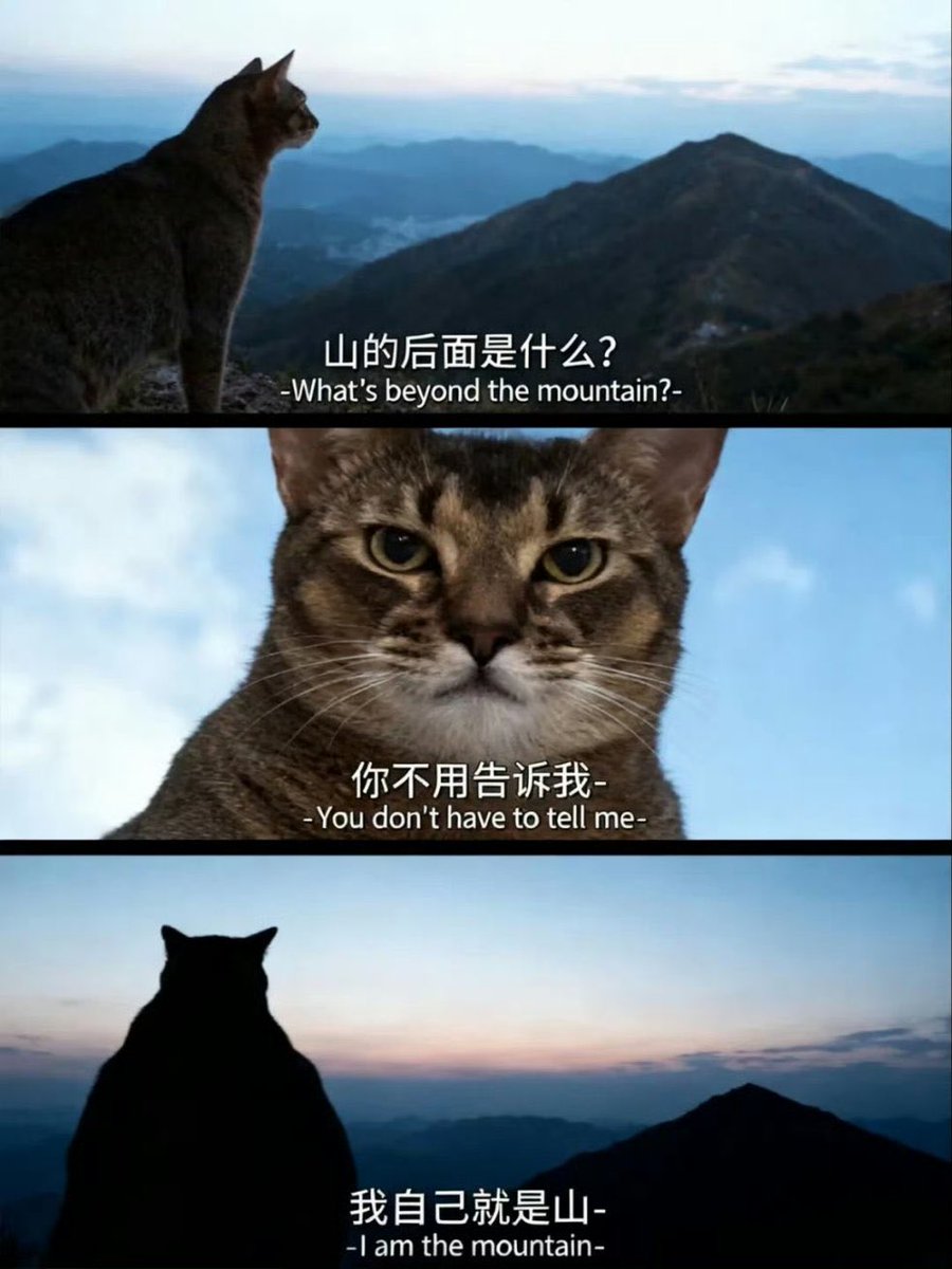 루콜 (@ruco1apizza) on Twitter photo 