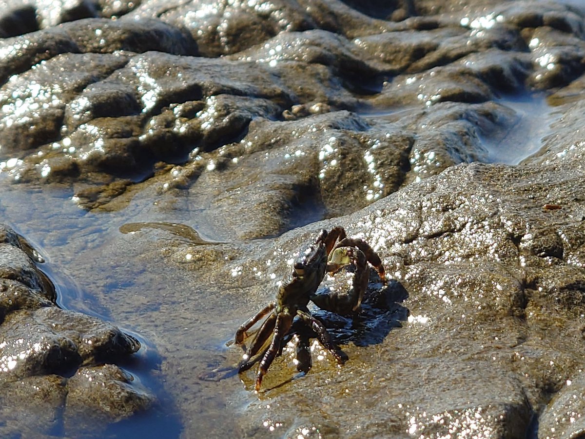 hanku_of_void's tweet image. こういうので良いんだよこういうので