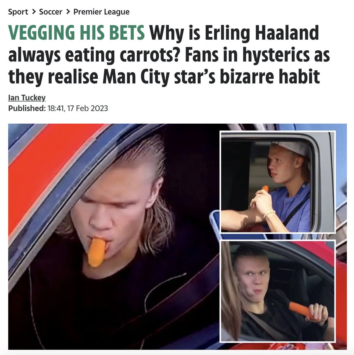 AlpacaAurelius's tweet image. raw carrots are king...they help bind endotoxins in the gut and detox excess estrogen.
been tellin ya'll
ray peat was right
