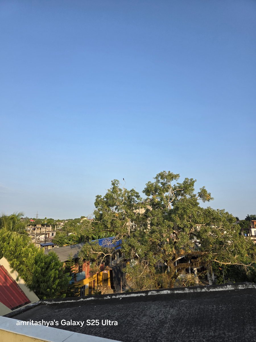 amritashya's tweet image. 1x and 30x zoom, October update of S25 Ultra. Share your thoughts, friends. 📸📱 #zoom #Octoberupdate #thoughts #friends #Oneui8 #S25ultra