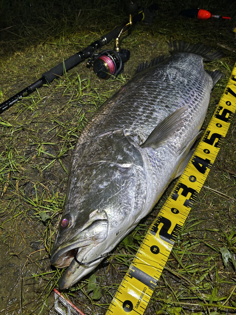 ___codmobile___'s tweet image. 高知