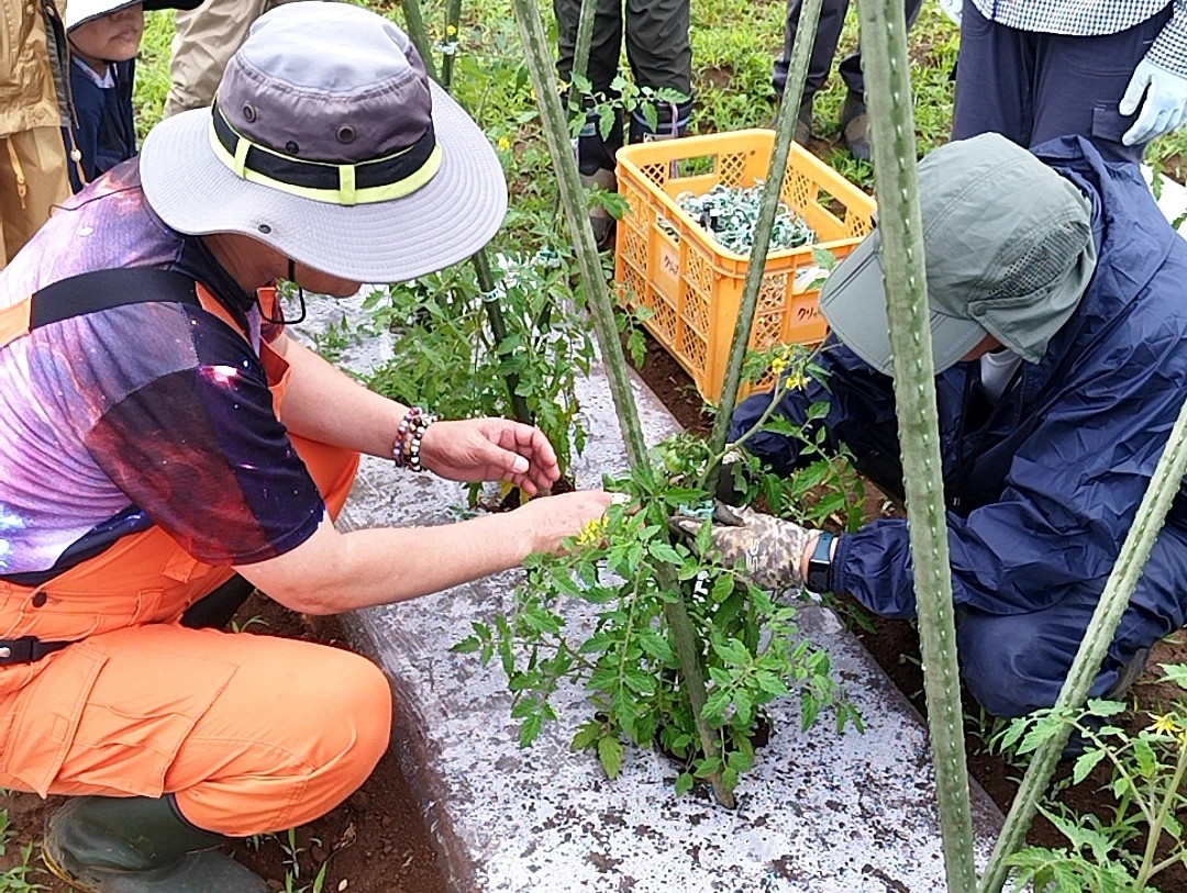 アジア太平洋資料センター(PARC) on X
