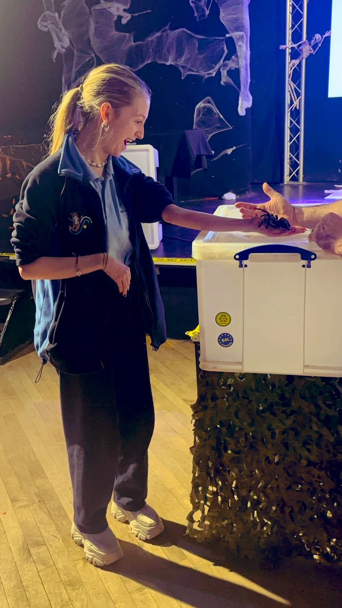 Madi Swallow tweet media