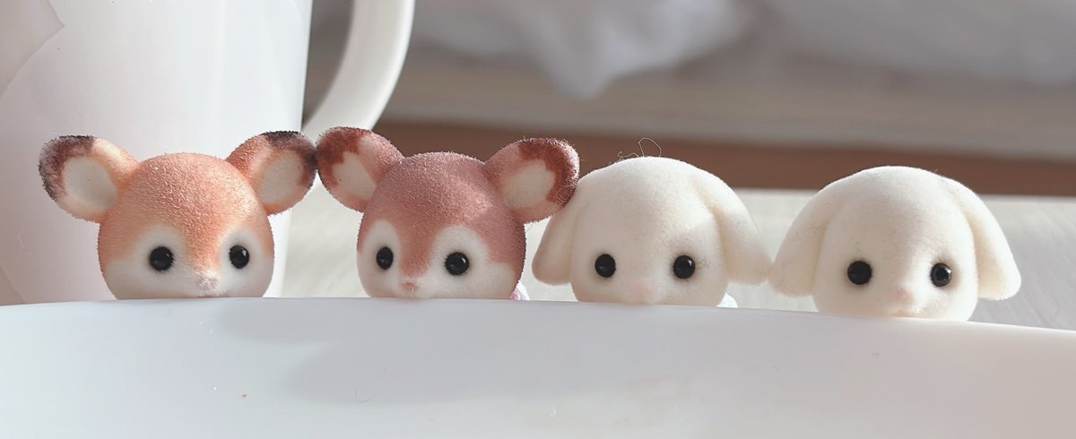 モヤシ (@mooyaaashii) on Twitter photo お皿はむはむず⸝⸝•⩊•⸝⸝ お皿はむはむず⸝⸝•⩊•⸝⸝