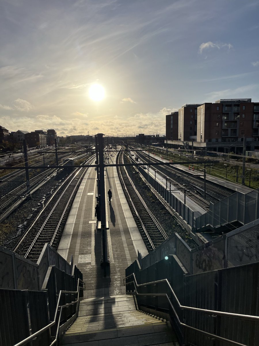 Benjamin Leander tweet media