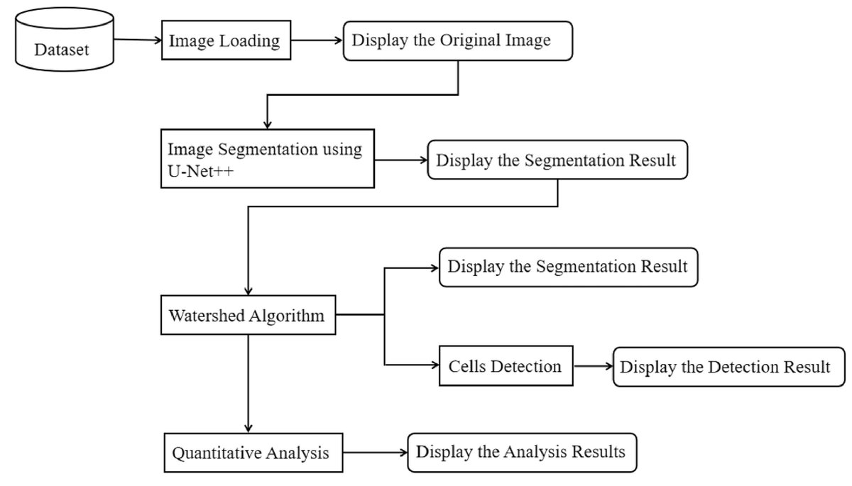 IntelligentMed8's tweet image. Keywords
Image Segmentation, Deep Learning, Image Analysis, U-Net++, Watershed, GUI