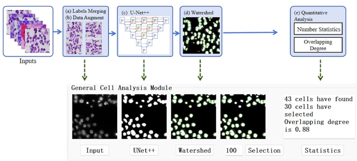 IntelligentMed8's tweet image. Keywords
Image Segmentation, Deep Learning, Image Analysis, U-Net++, Watershed, GUI